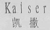 凯撒 KAISER