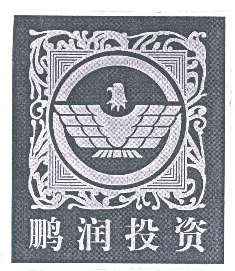 鹏润投资