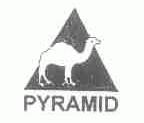PYRAMID