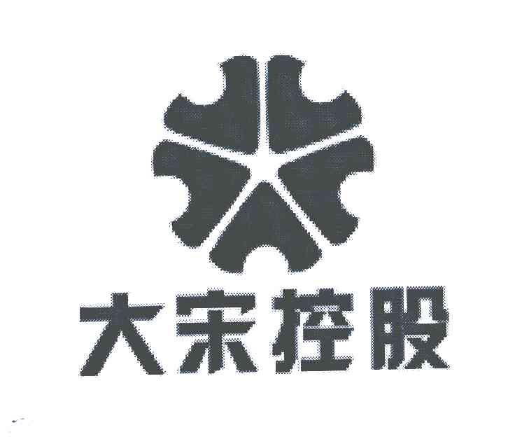 大宋控股