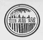 白杨城