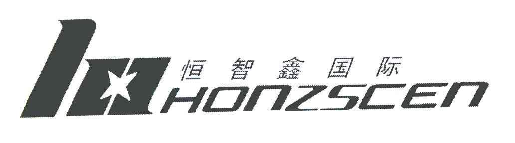 恒智鑫国际 HONZSCEN