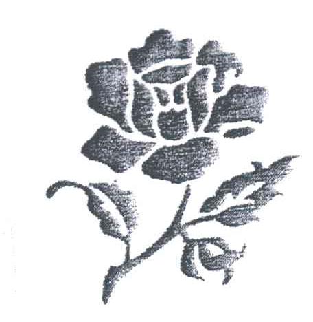 图形