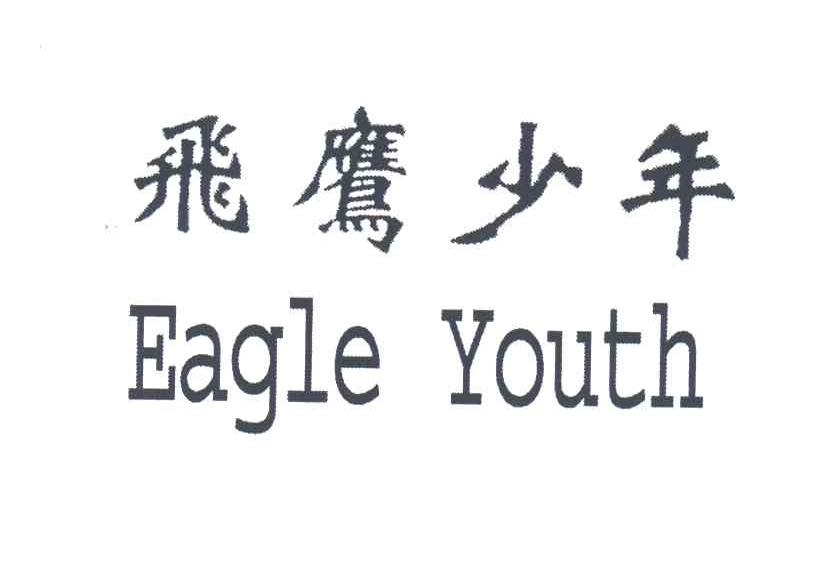 飞鹰少年;EAGLE YOUTH