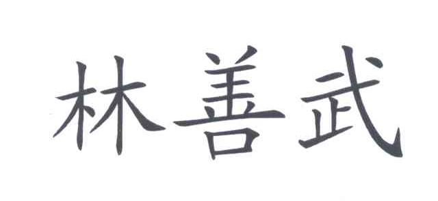 林善武