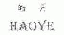 皓月;HAOYE