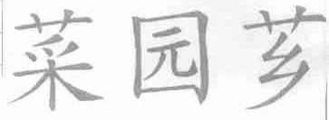 菜园芗