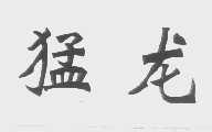 猛龙