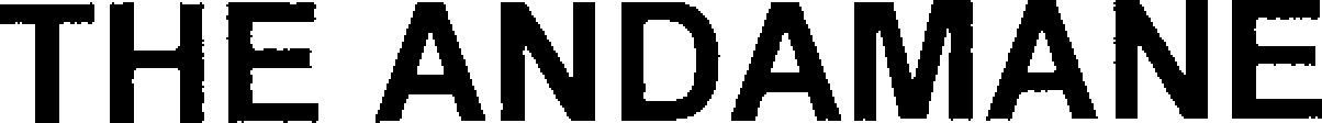 THE ANDAMANE