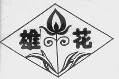 雄花