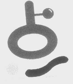 点