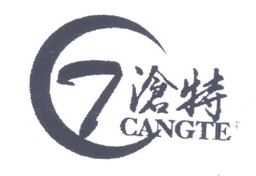 沧特;CT