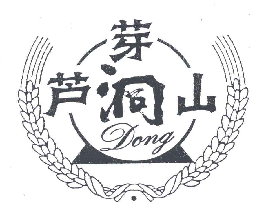 芦芽山洞