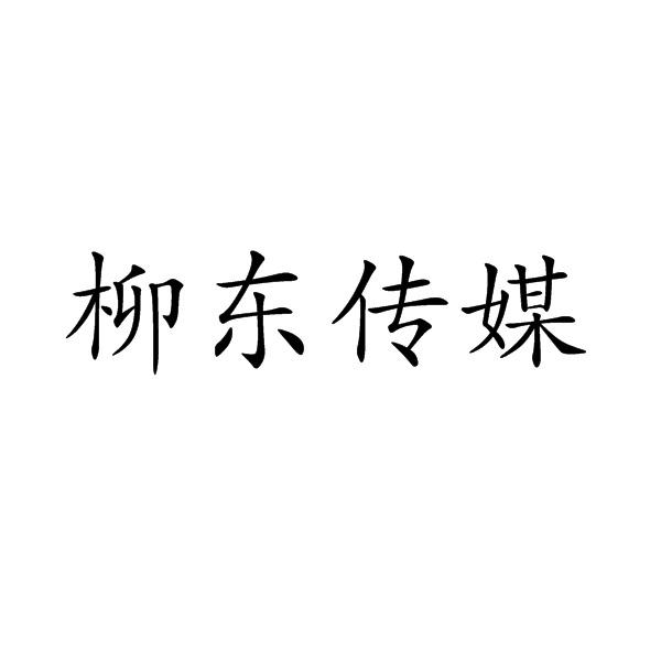 柳东传媒