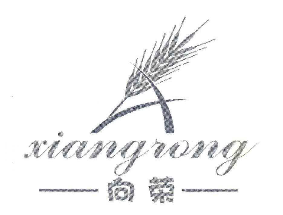 向荣