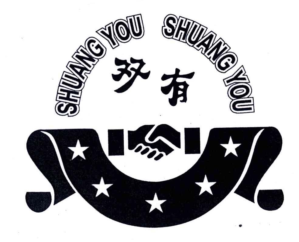 双有