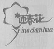 迎春花