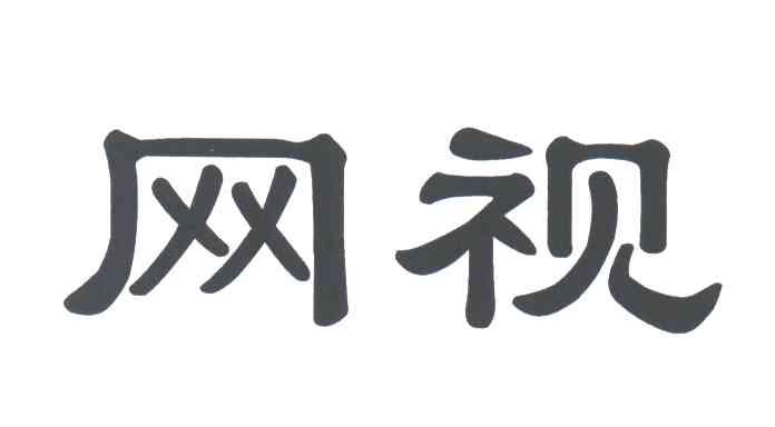 网视
