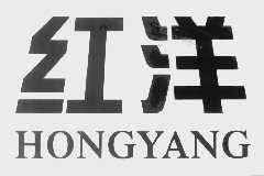 红洋