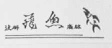 飞鱼