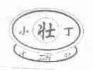 小壮丁;X ZH D