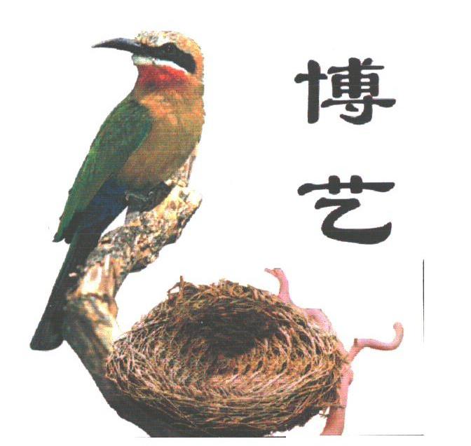 博艺