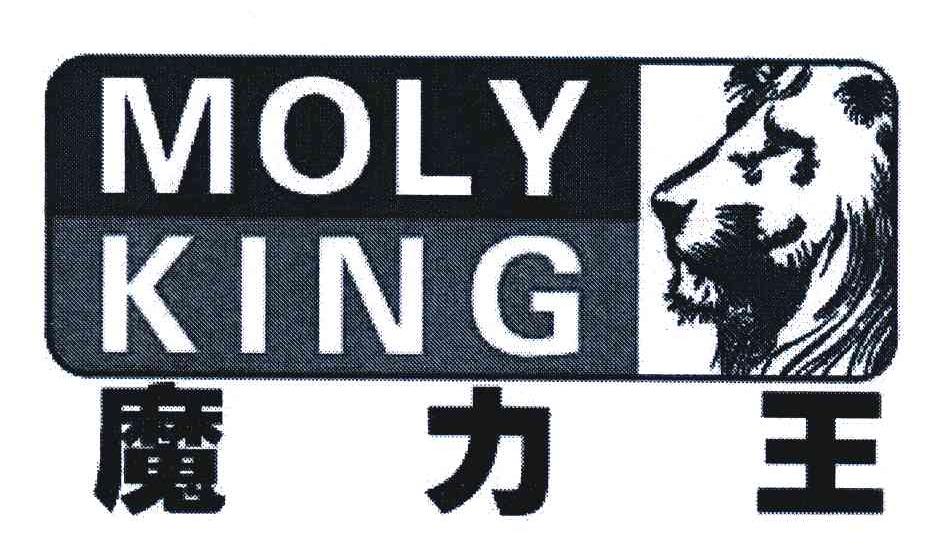 魔力王 MOLY KING