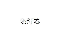 羽纤芯
