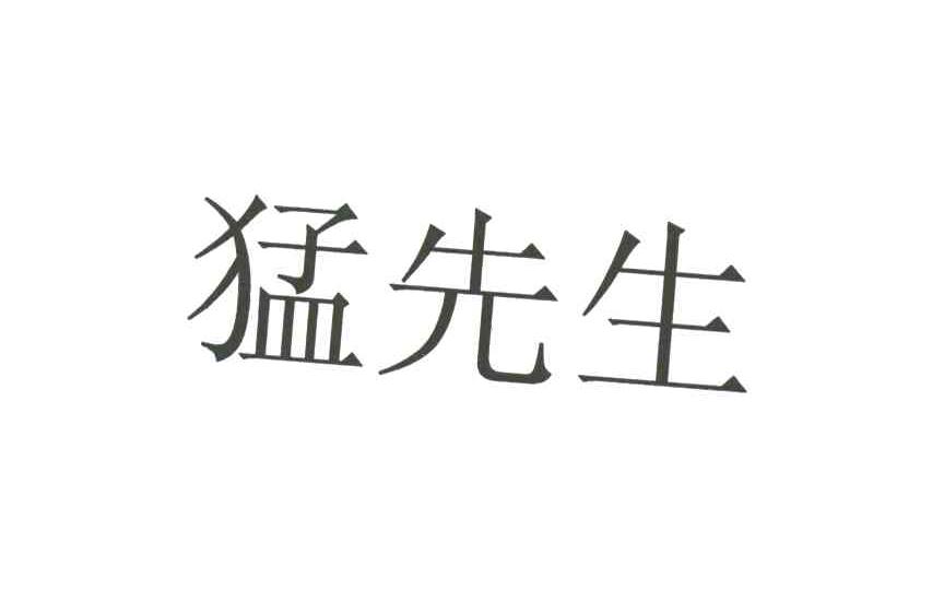 猛先生