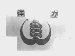 洋力
