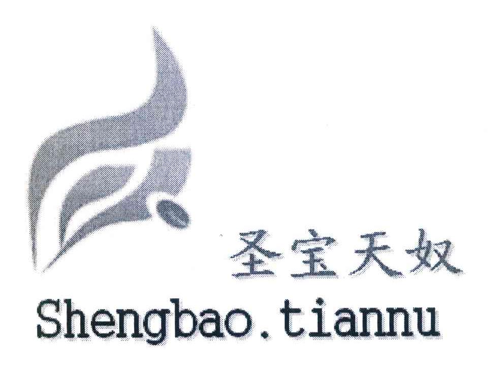 圣宝天奴