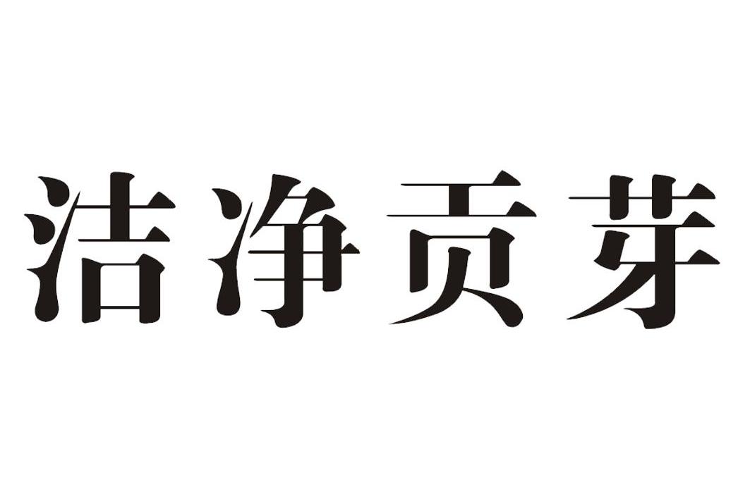 洁净贡芽