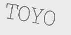 TOYO