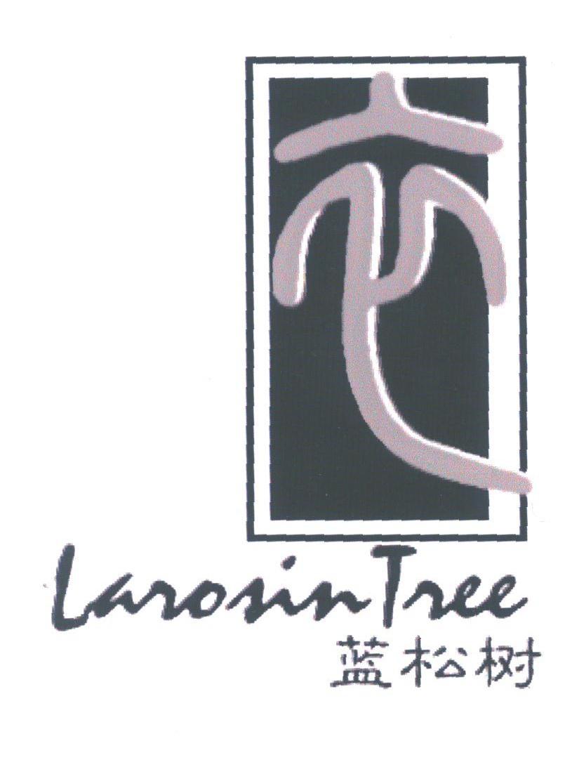 蓝松树;LAROSIN TREE