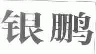银鹏