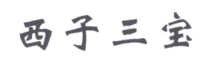 西子三宝