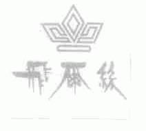 飞尔丝
