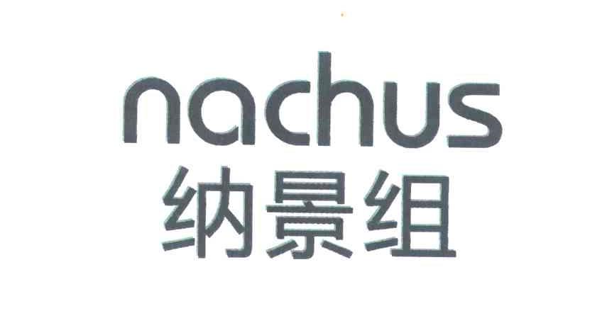 纳景组;NACHUS