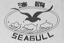 海鸥
