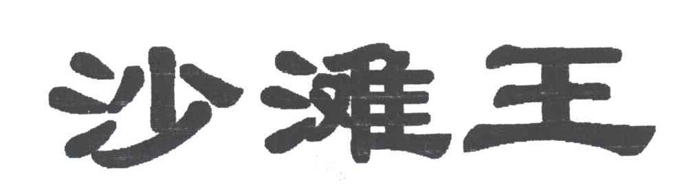 沙滩王