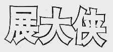展大侠