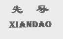 先导