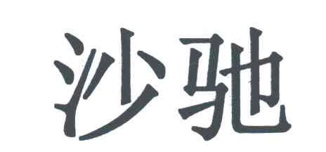 沙驰
