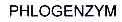 PHLOGENZYM