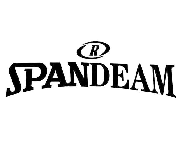 SPANDEAM R