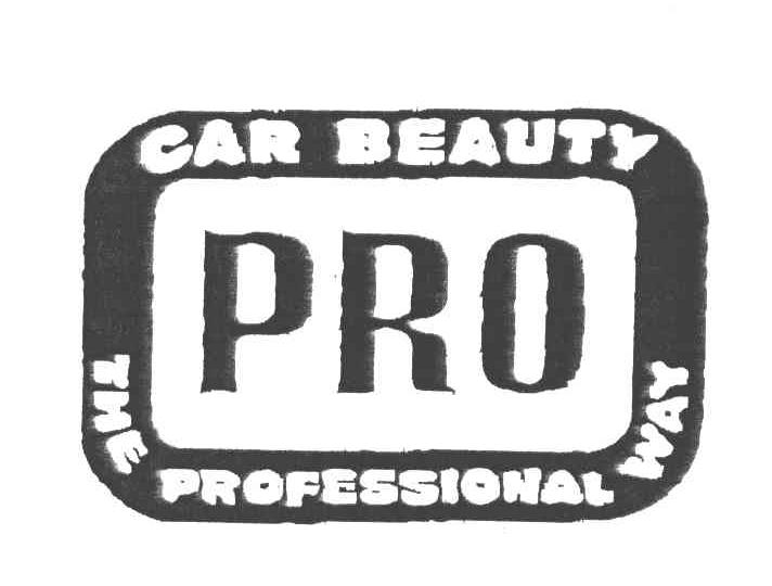 PRO CAR BEAUTY THE PROFESSIONAL WAY