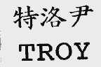 特洛尹;TROY