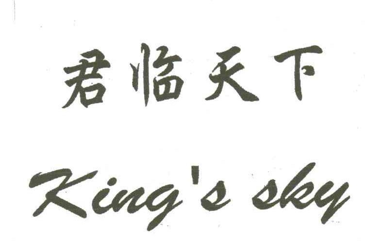 君临天下;KING&rsquo;S SKY