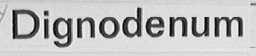 DIGNODENUM