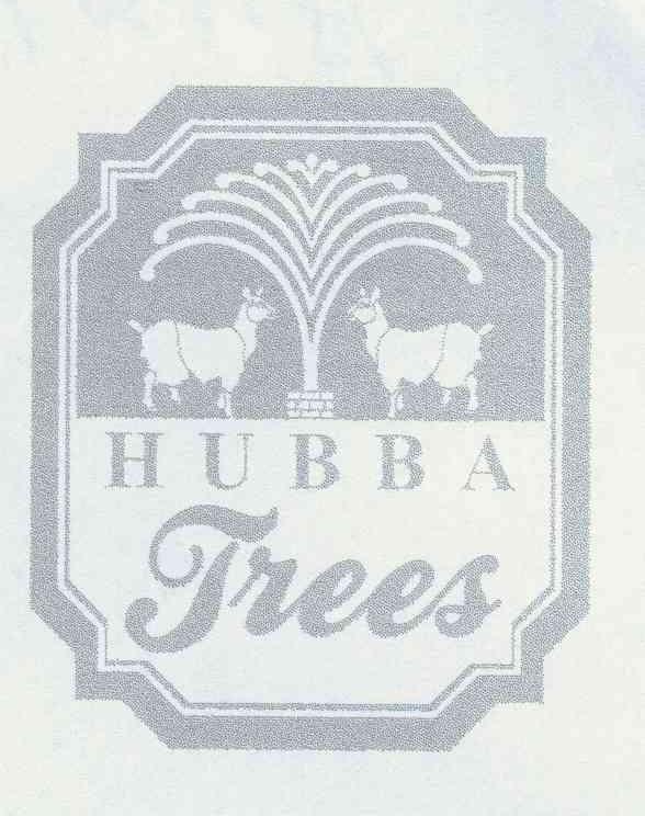 HUBBA